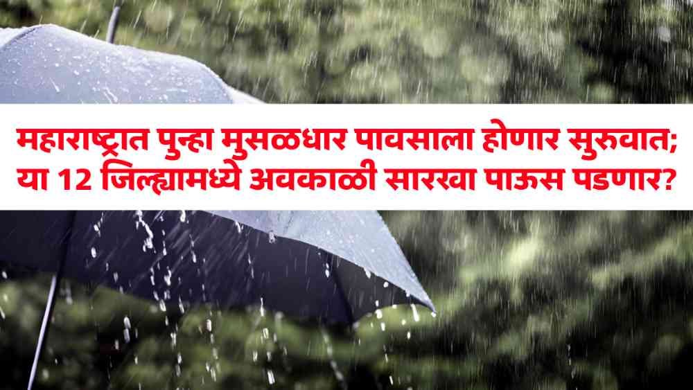 Rain Alert